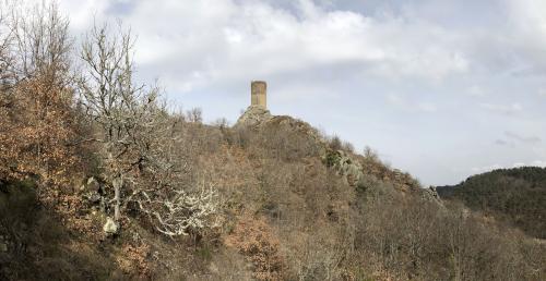 Tour de Rognon [19-03-2022](IMG_4538).jpg